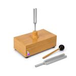Tuning Forks Pair with Resonator