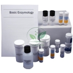 Basic Enzymology Kit