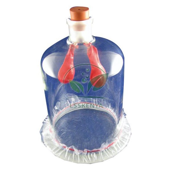 Lung Model Demo Kit