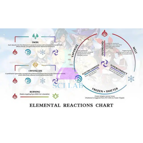 Elementary Reactions and Rate Equation