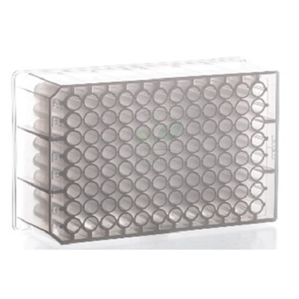 PCR Microplate