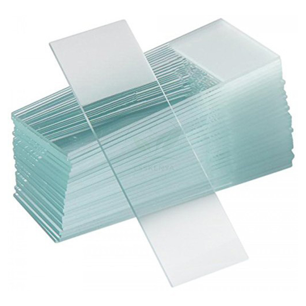 Cover Glass Slide