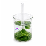 Aquatic Plant Respiration Demonstration Kit