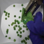 Photosynthesis Kit