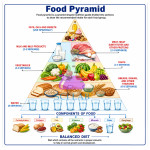 Food Pyramid