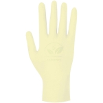 Gloves Exam Latex Without Powder